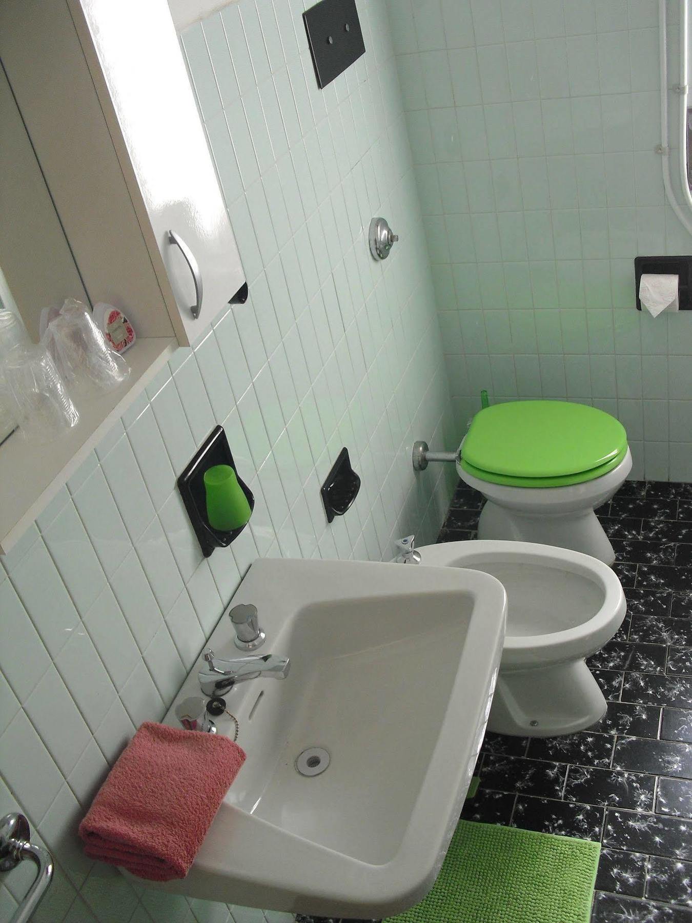 Casa Palmira Daire Brenzone sul Garda Dış mekan fotoğraf